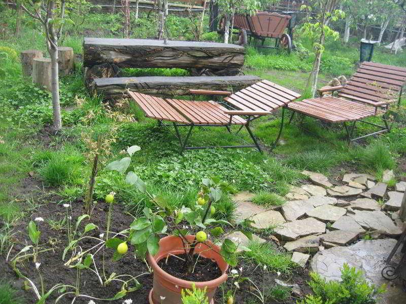 Leaganul Bucovinei Guest House Szucsáva Kültér fotó